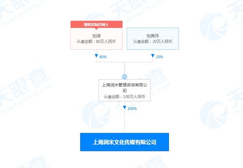 潤米咨詢戰(zhàn)略布局新篇章 設(shè)立文化傳媒公司，注冊資本100萬，深化社會經(jīng)濟(jì)咨詢服務(wù)生態(tài)
